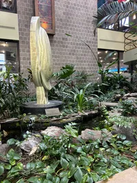 Studentcenter