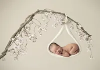 lilah-branch