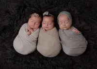 Posed newborn triplets wrapped in neutral fabric, Chicago newborn photographer