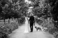 A bride and groom with their two dogs