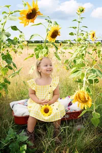 Sunflower-33