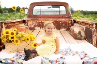 Sunflower-13