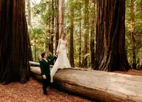 Couple exchanging vows during an intimate redwood forest elopement.
