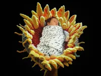 4Karma Studio - An editorial newborn portrait in Los Angeles featuring a sleeping baby styled with a handcrafted wool woven flower and premium organic textures.