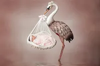 4Karma Studio - A creative fine art newborn portrait in Los Angeles featuring a whimsical stork holding a baby, captured with true-to-life tones.