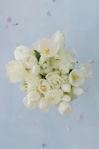 maggiejeffbethanymichaela-37