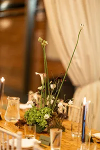 956A9638_websize