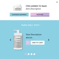 3 Bag_Rebuy Design Brief_Bliss Widget