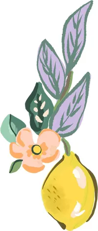 lemon 8