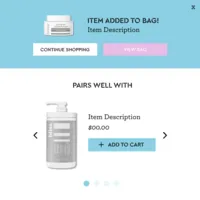 1 Bag_Rebuy Design Brief_Bliss Widget