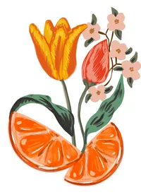 orange tulip 1