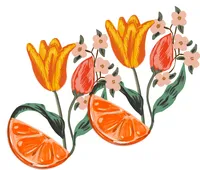 orange tulip 2