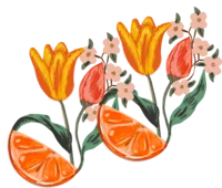 orange tulip 2