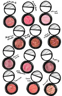 Blush Range in Component Shade Range