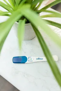 positive pregnancy test with plant