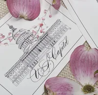 US Capitol illustration