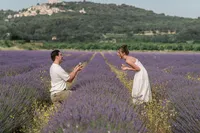 karina leigh - lavender field proposal-10