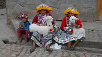 Baby alpacas