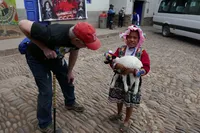 GALA in Peru