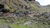 perugaladay6_142v_resize_33972595878_o