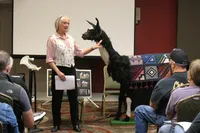 Llama classes