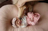 Newborn baby with parents and their dog during a family photoshoot in Maine — cozy in-home session by Damini Photography, serving Vermont, Boston, and New England families.