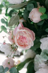 Melanie-Noah-Wedding-Tawny-Ballard-Photography-555 (3)