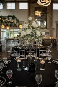 baby breath flowers
