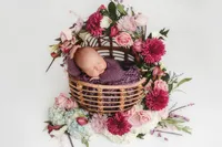 Baby posed for Newborn Portraits in Charleston, SC.
