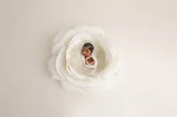 Charleston, SC Baby Photographer