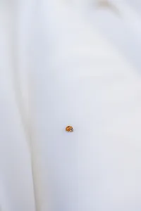 garden wedding ladybug on dress at rainbow oaks ranch in sanger california