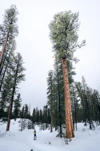 DSC00668-2