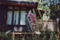 Nectar Yoga Moonstone Cottage Exterior Flowers Vancouver British Columbia Canada 08_2021 @flintfeatherphotography