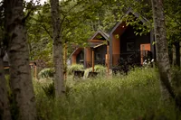Nectar Yoga Forest View Deluxe Cottages Exterior Vancouver British Columbia 06_2023 @abbydellphotography