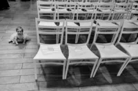 wharf-wedding-washington-dc-18