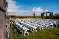 Sonoma-Wedding-Photographer-Viansa-114