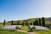Sonoma-Wedding-Photographer-Viansa-116