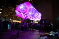 Bay-Area-Event-Photographer-3958