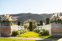 Sonoma-Wedding-Photographer-Viansa-15