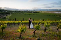 Sonoma-Wedding-Photographer-Viansa-64