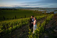 Sonoma-Wedding-Photographer-Viansa-60