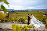 Viansa-Sonoma-Vineyard-Wedding