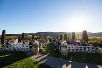 Sonoma-Wedding-Photographer-Viansa-20