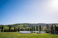 Sonoma-Wedding-Photographer-Viansa-124
