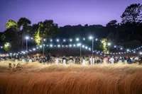 Bay-Area-Event-Photographer--16