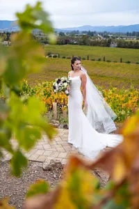 Sonoma-Wedding-Photographer-Viansa-82