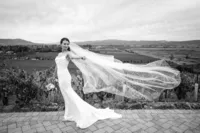 Sonoma-Wedding-Photographer-Viansa-69