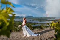 Sonoma-Wedding-Photographer-Viansa-150