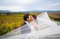 Sonoma-Wedding-Photographer-Viansa-78