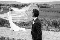 Sonoma-Wedding-Photographer-Viansa-72